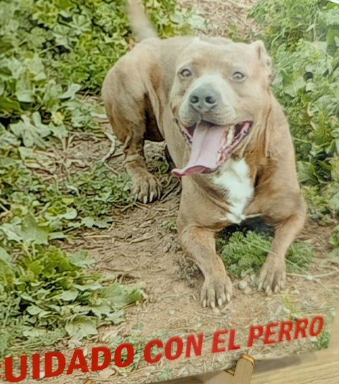 Azulejo cuadrado con foto personalizado