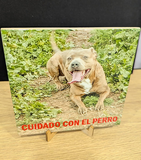 Azulejo cuadrado con foto personalizado