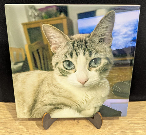 Azulejo cuadrado con foto personalizado