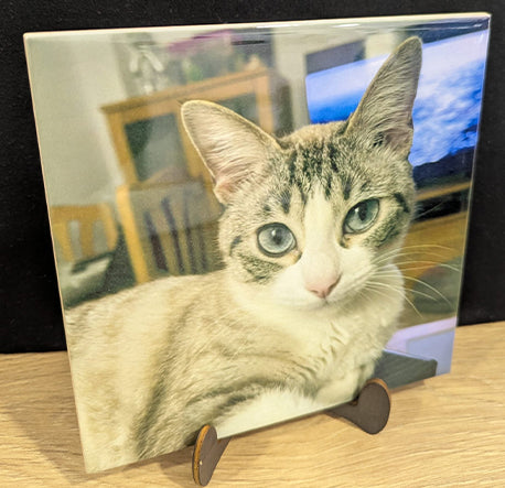 Azulejo cuadrado con foto personalizado